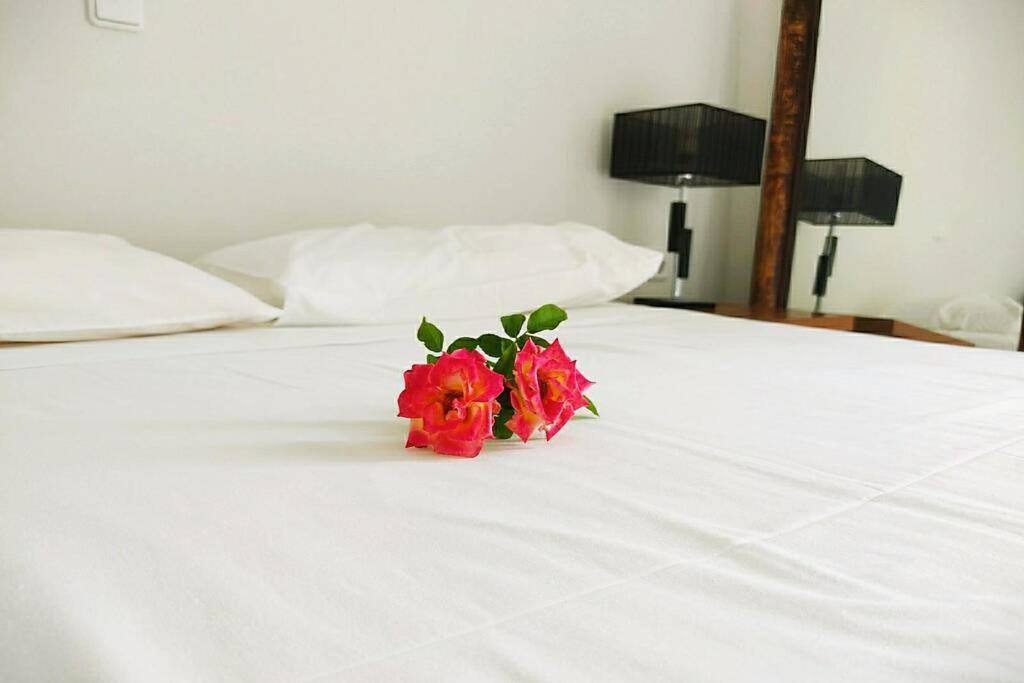 Peggy'S Lux Apartment Karavomylos Dış mekan fotoğraf